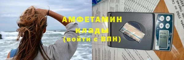 крисы Абаза