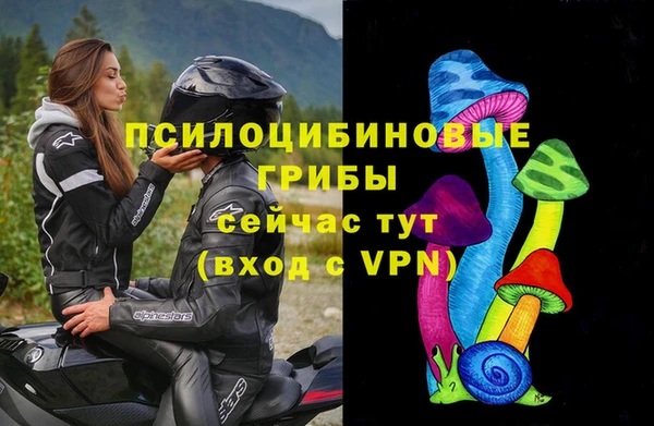 крисы Абаза