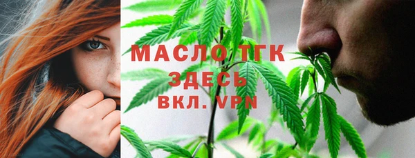 крисы Абаза
